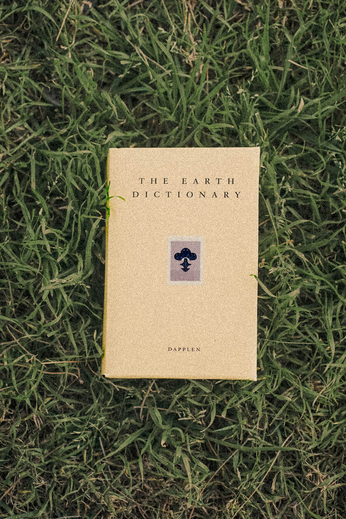 Chapter 1. The Underforest