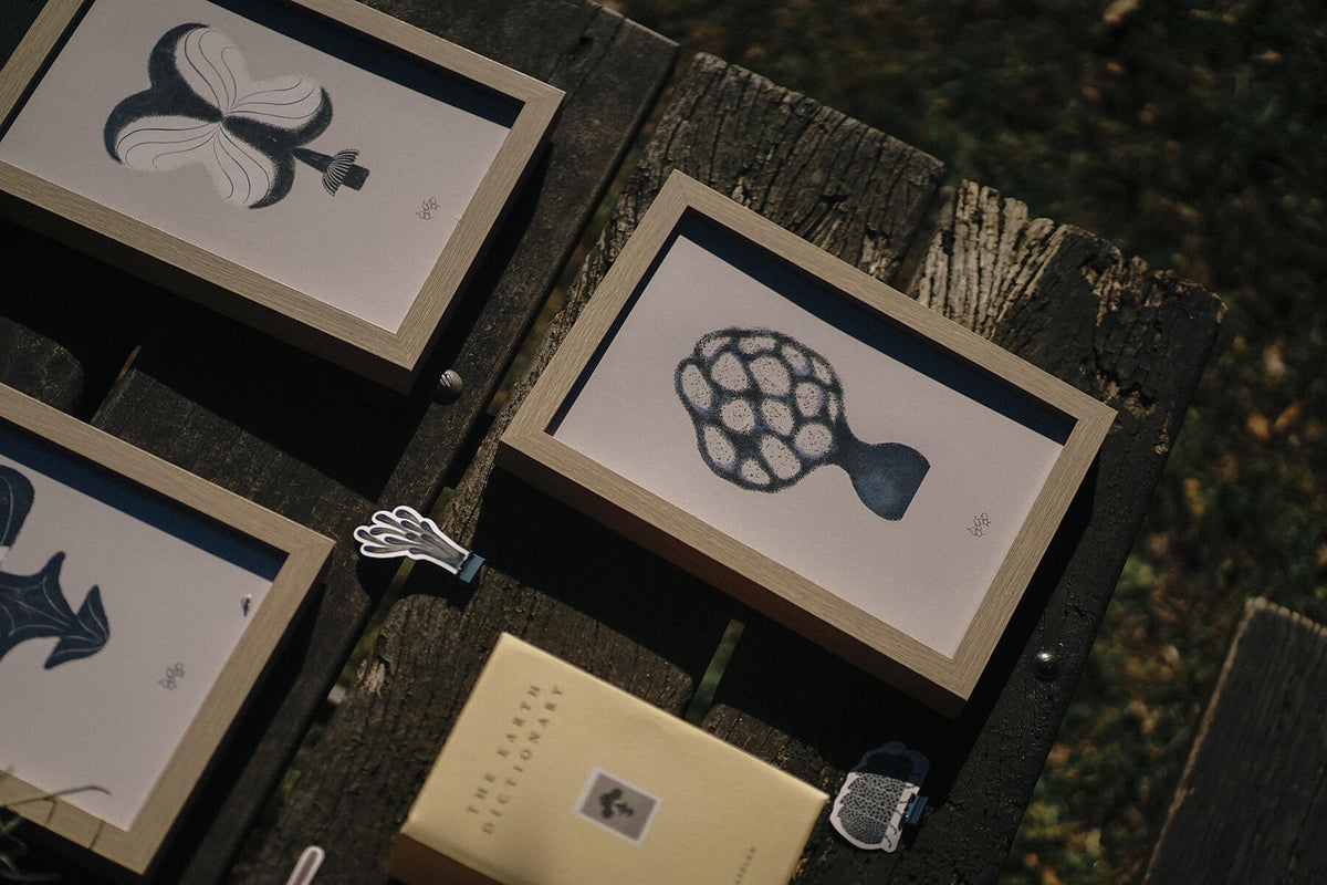 The Underforest_ No.1 The First Letter